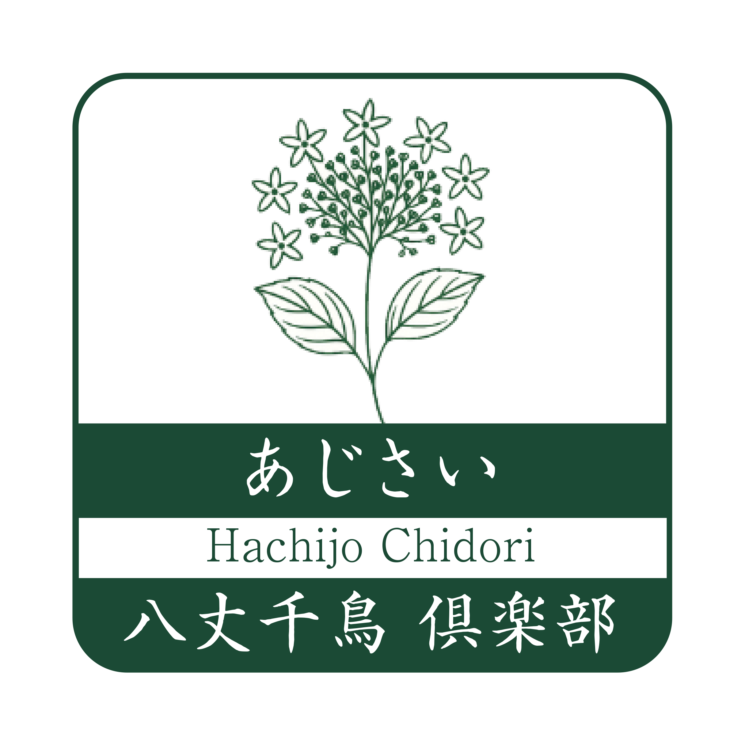 あじさい・八丈千鳥倶楽部|ガクアジサイ八丈千鳥の魅力と栽培・購入